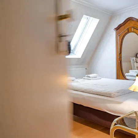 Leone D'oro * Heidelberg