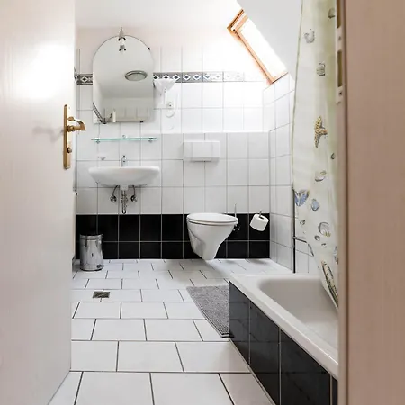 Leone D'oro היידלברג