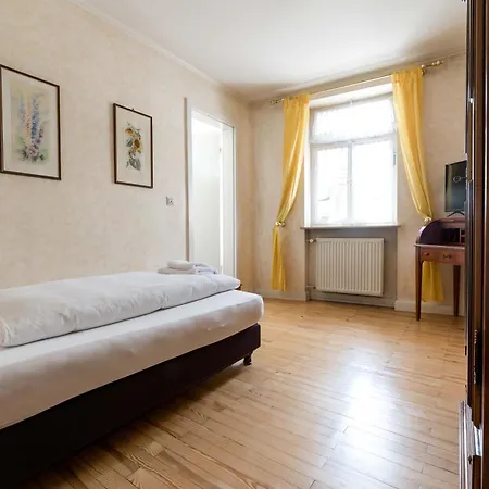 Hotell Leone D'oro Heidelberg