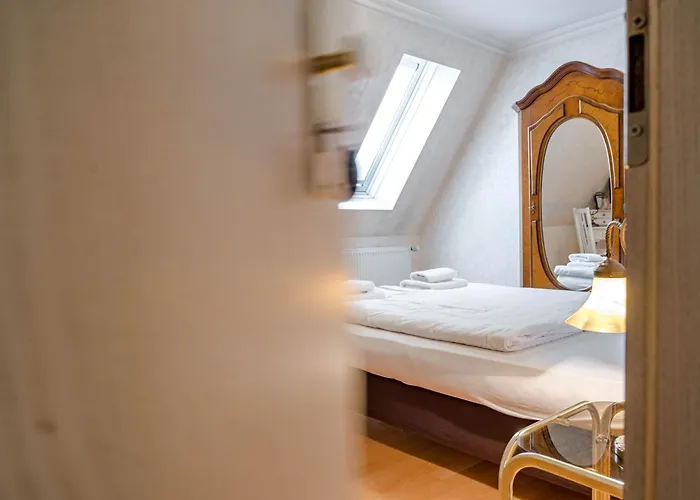 Leone D'oro * Χαϊδελβέργη